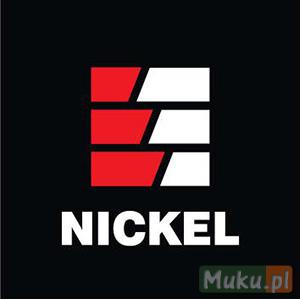 Generalny wykonawca budowlanych - PTB Nickel 