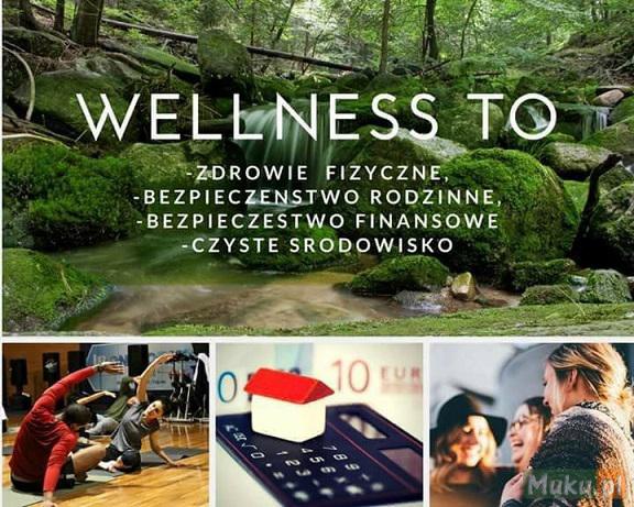 Biznes Online w Branży Wellness