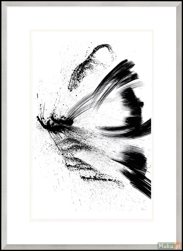 Czarno-biały obraz z motylem