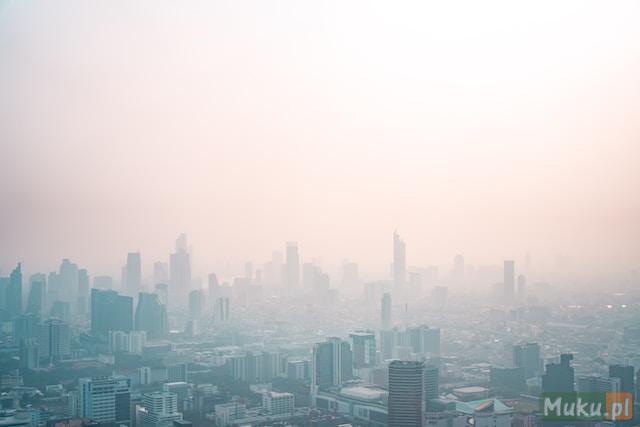 Poznaj różne typy smogu