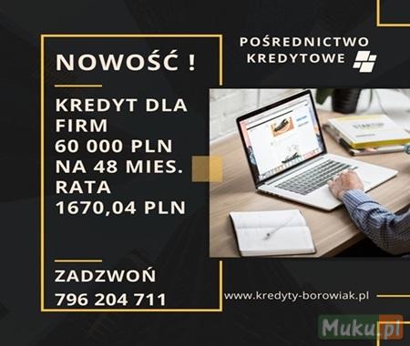 Kredyt dla FIRM 60 000 PLN na 48 mies. rata 1670 