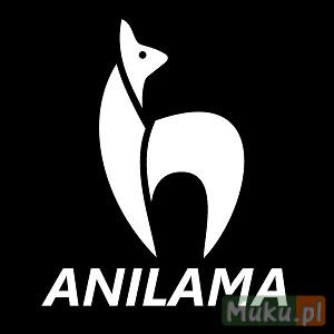 Firma eventowa - Anilama