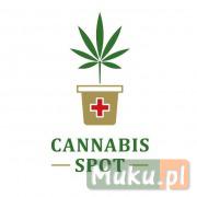 CBD - cannabis-spot.pl