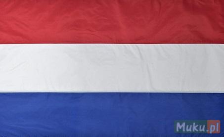 Holandia - praca od zaraz