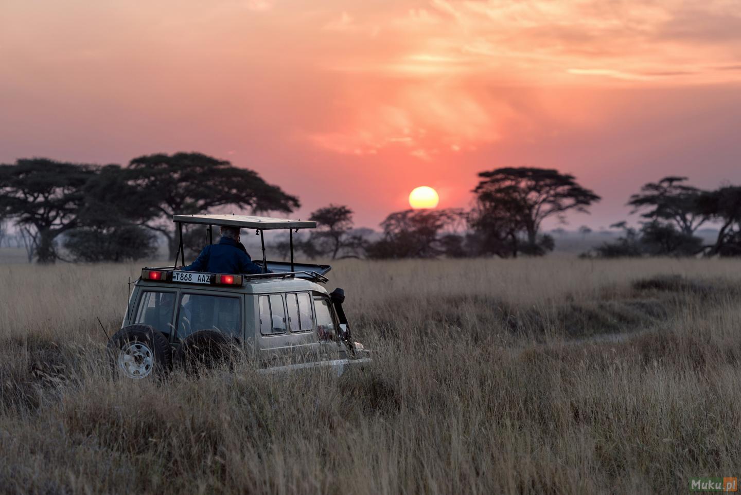 Wyprawa samochodowa Namibia